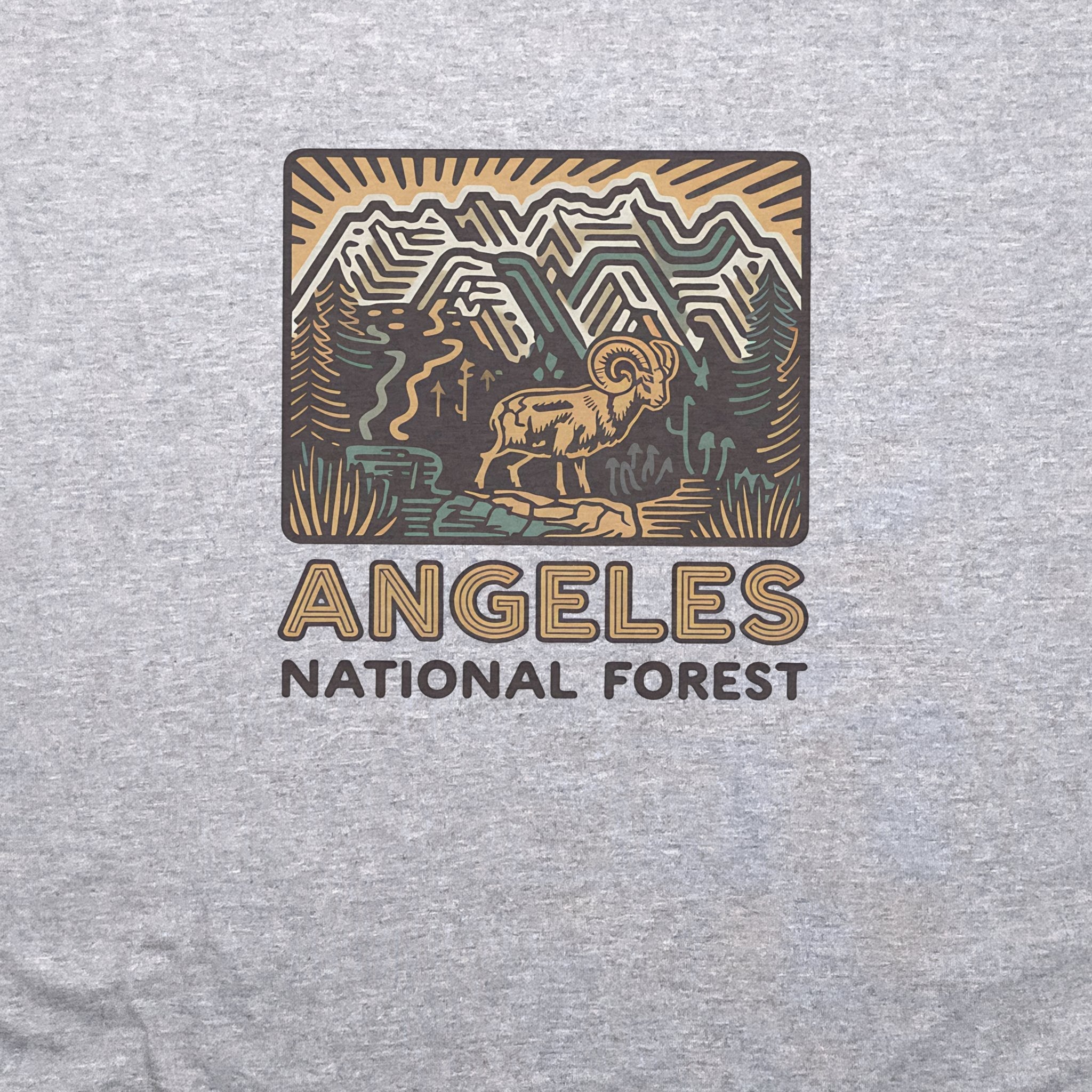 Angeles National Forest Vintage T-Shirt