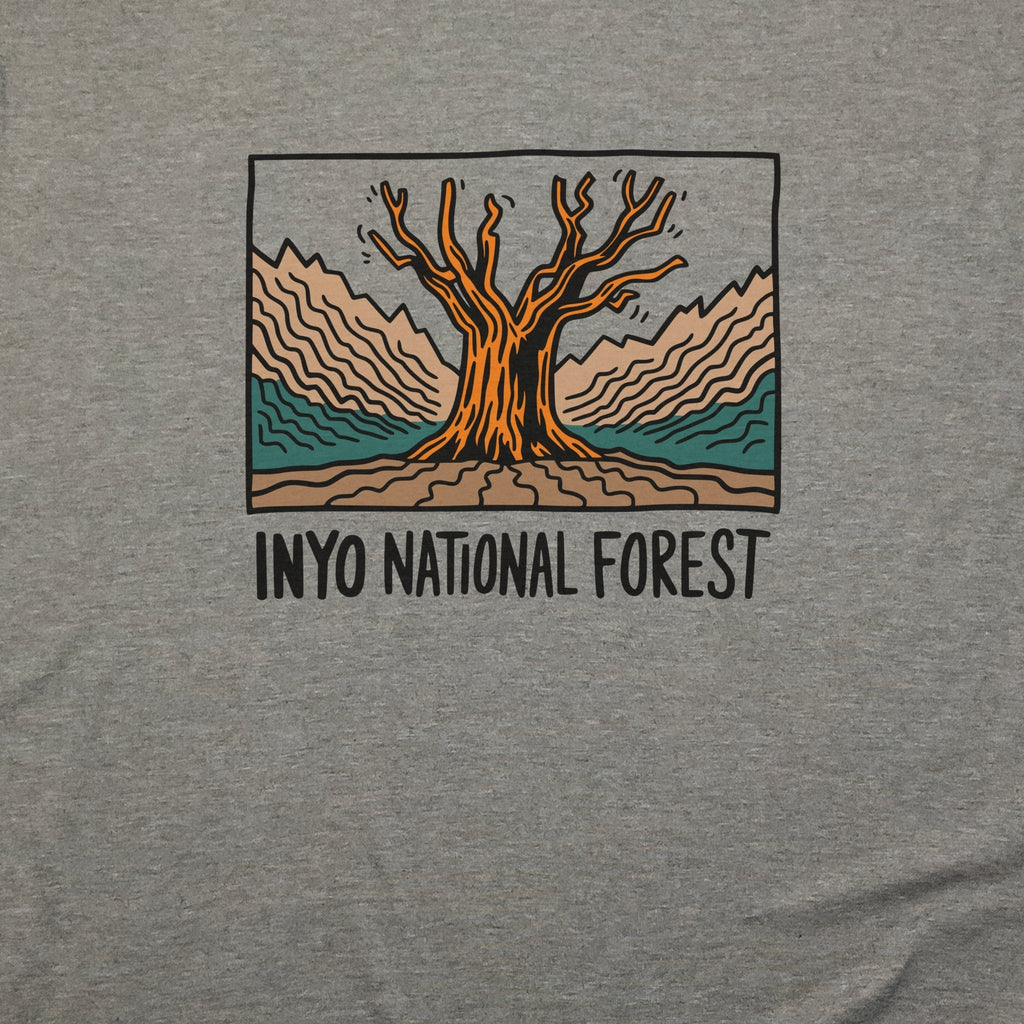 Inyo National Forest T-Shirt