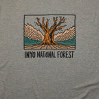 Inyo National Forest T-Shirt