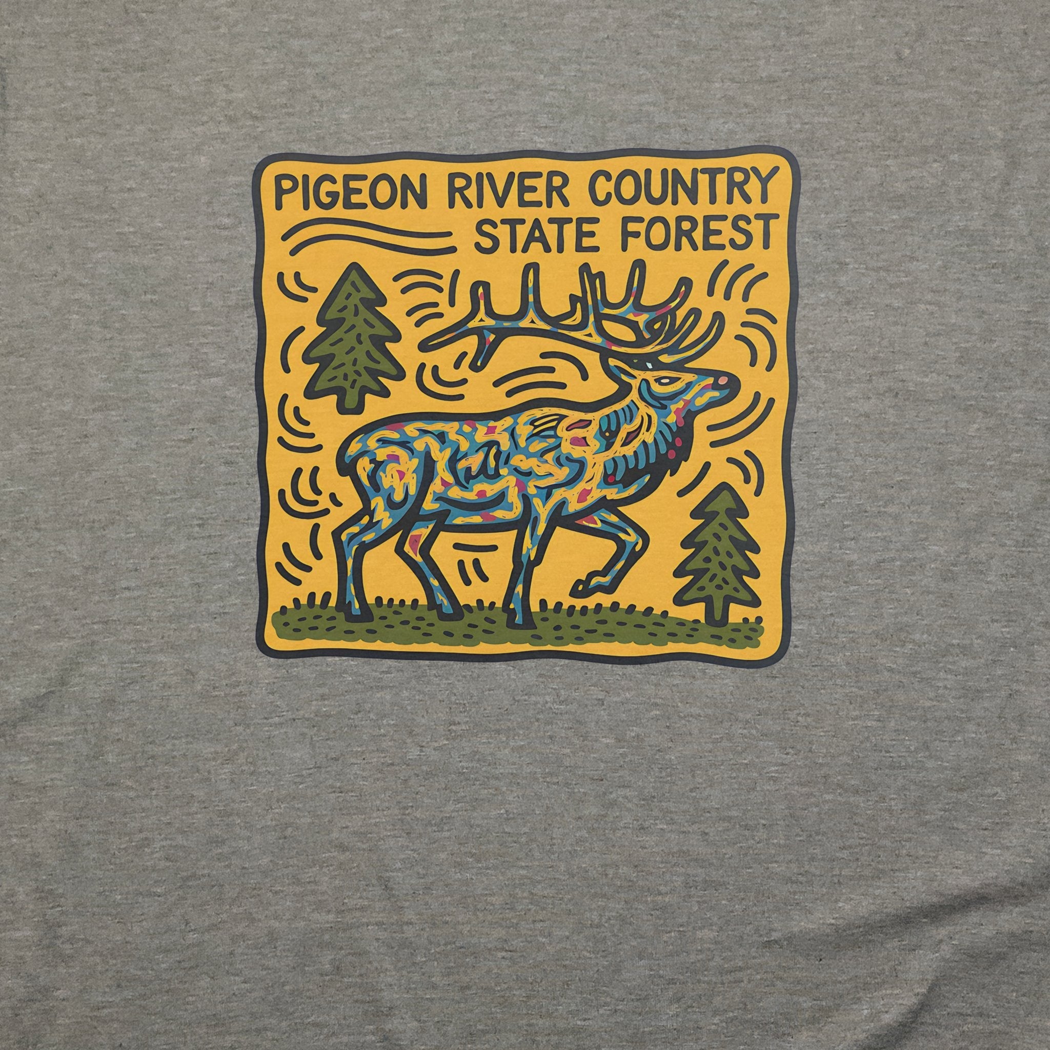 Pigeon River Country State Forest T-Shirt