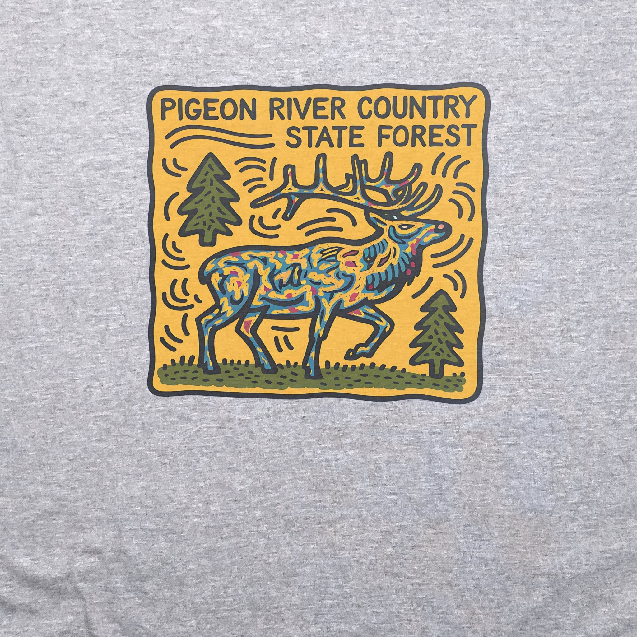 Pigeon River Country State Forest T-Shirt