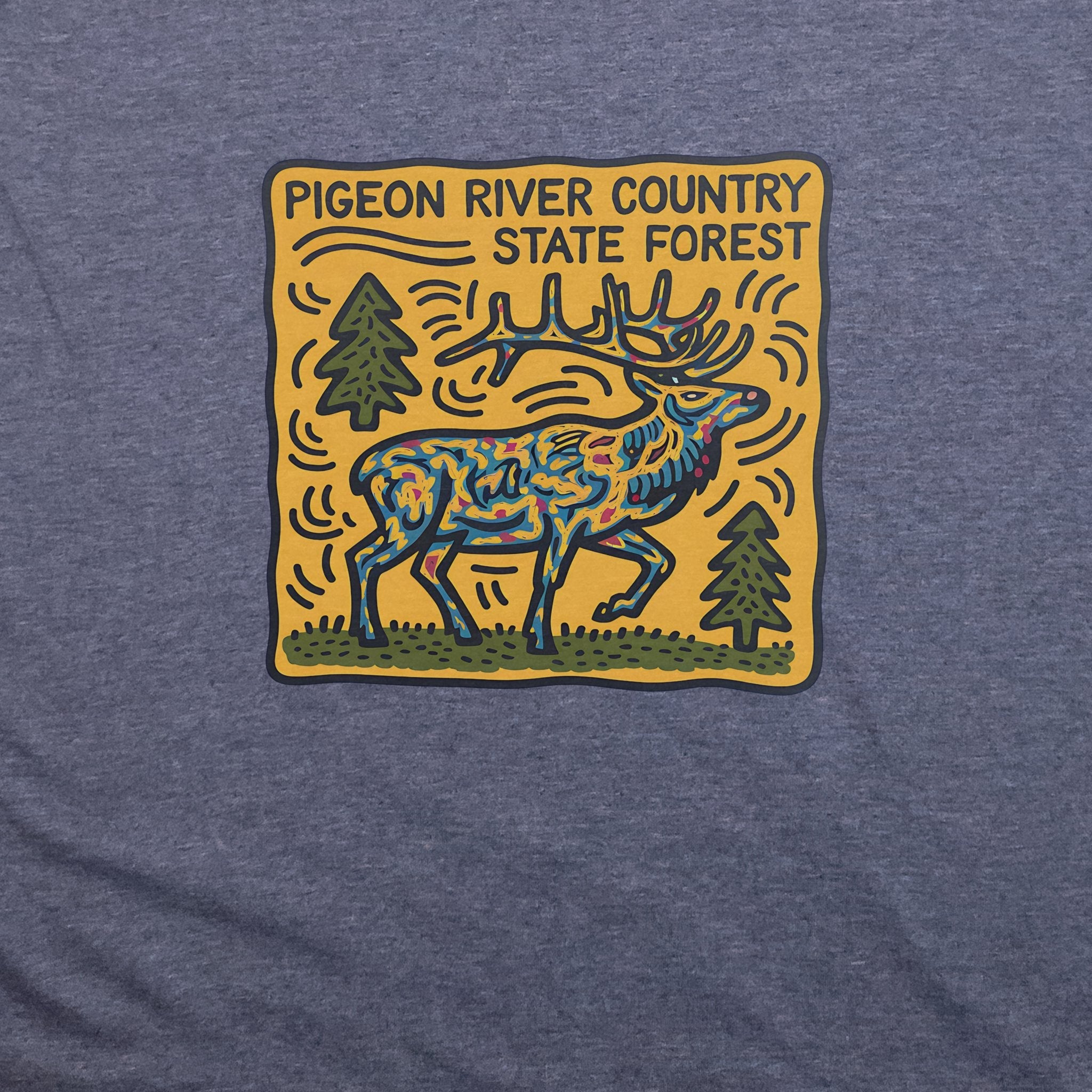 Pigeon River Country State Forest T-Shirt