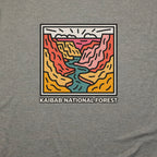 Kaibab National Forest T-Shirt