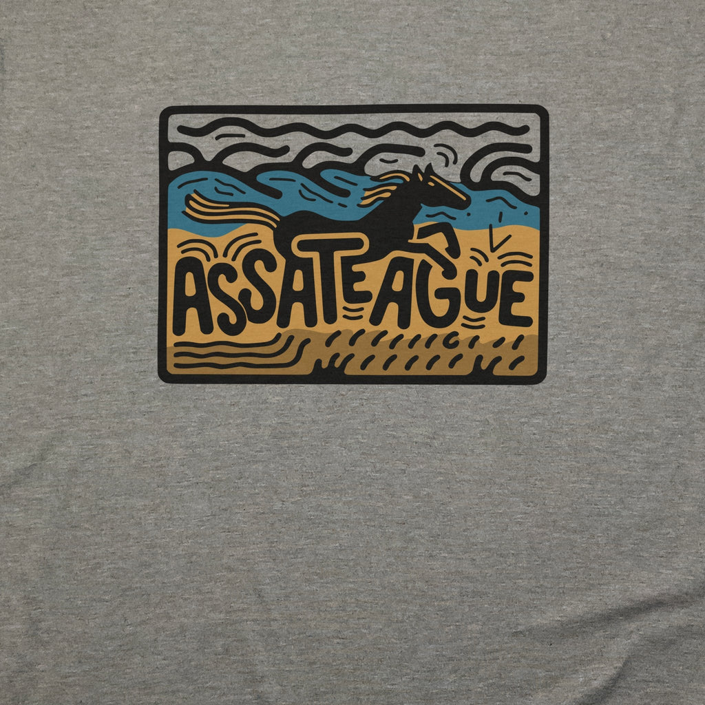 Assateague Island T-Shirt