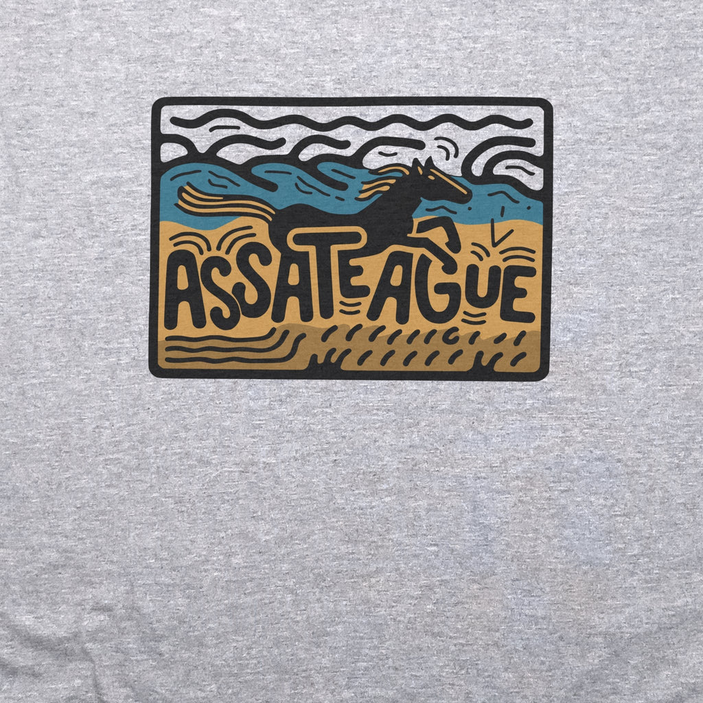 Assateague Island T-Shirt