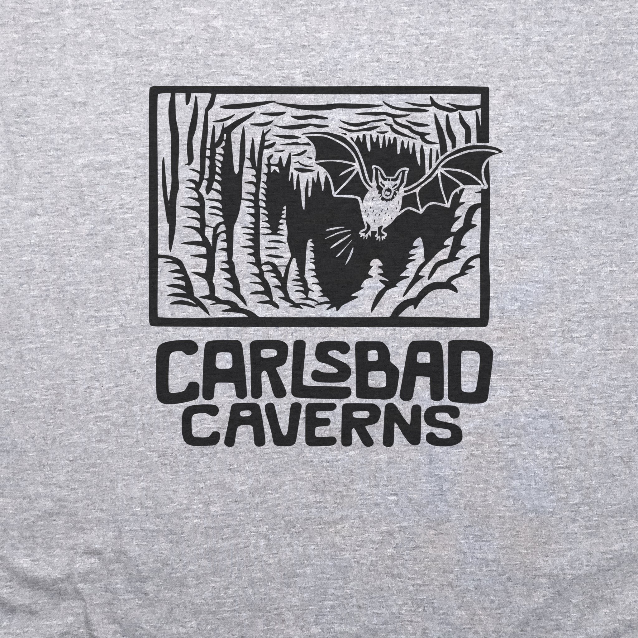 Carlsbad Caverns National Park T-Shirt