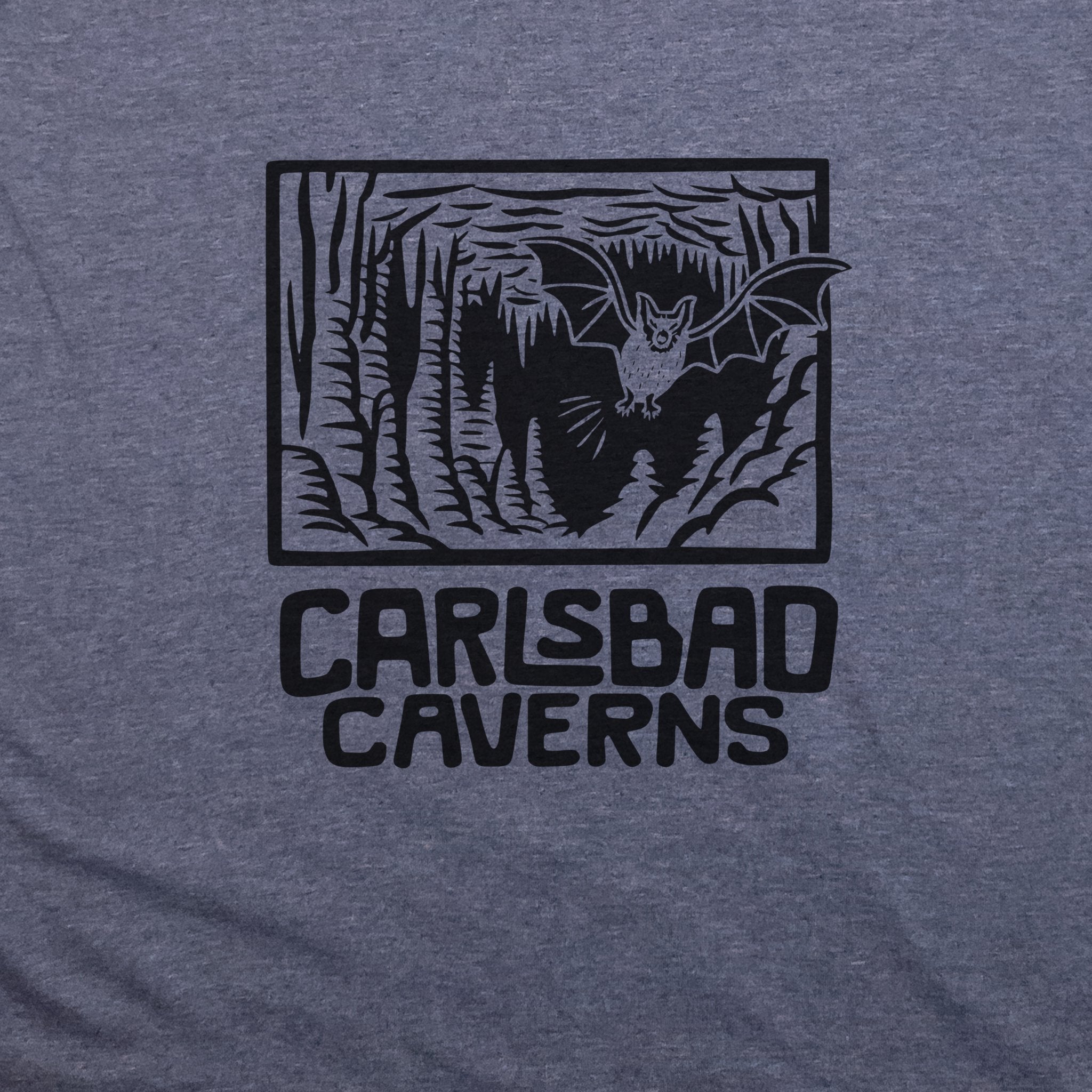 Carlsbad Caverns National Park T-Shirt
