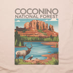 Coconino National Forest T-Shirt