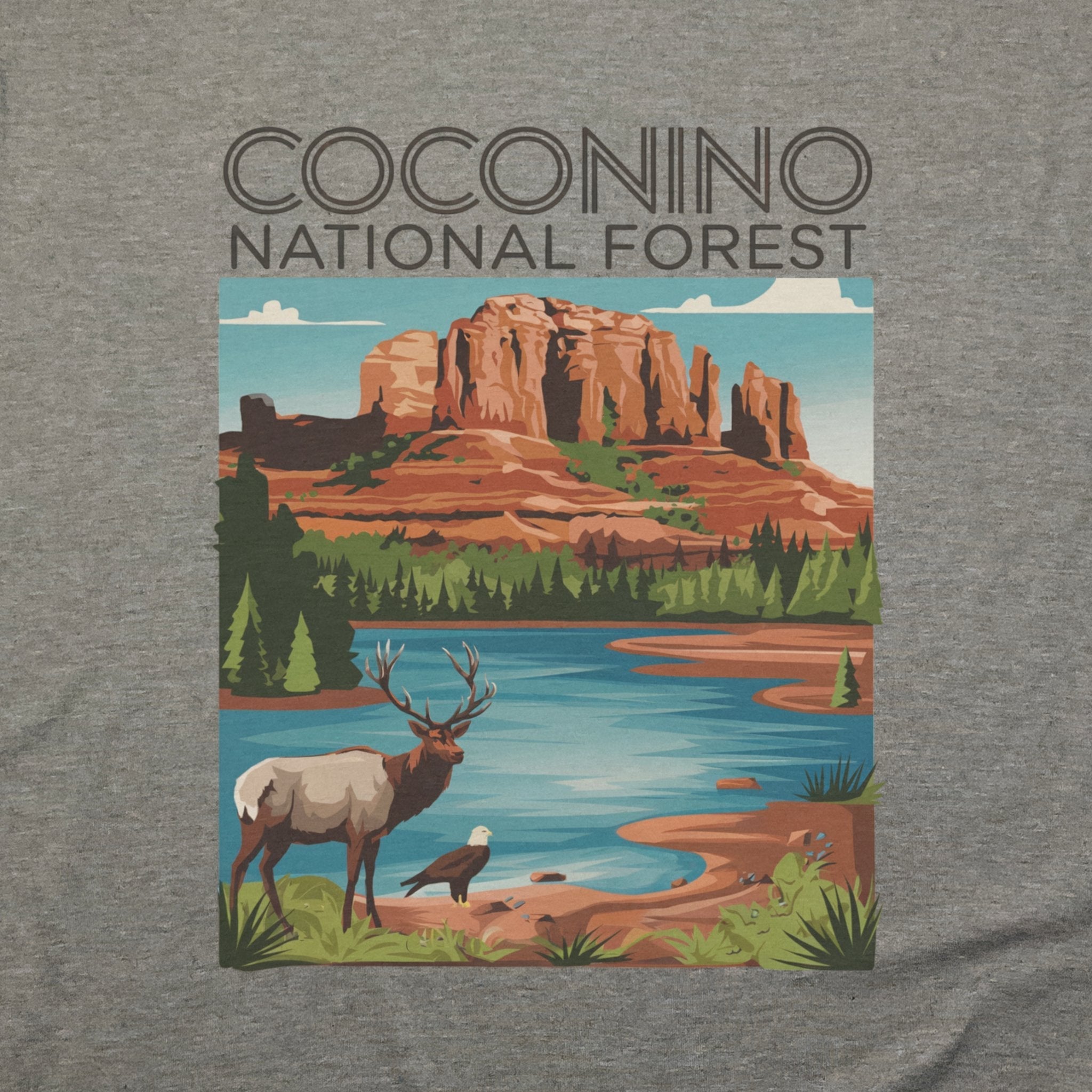 Coconino National Forest T-Shirt