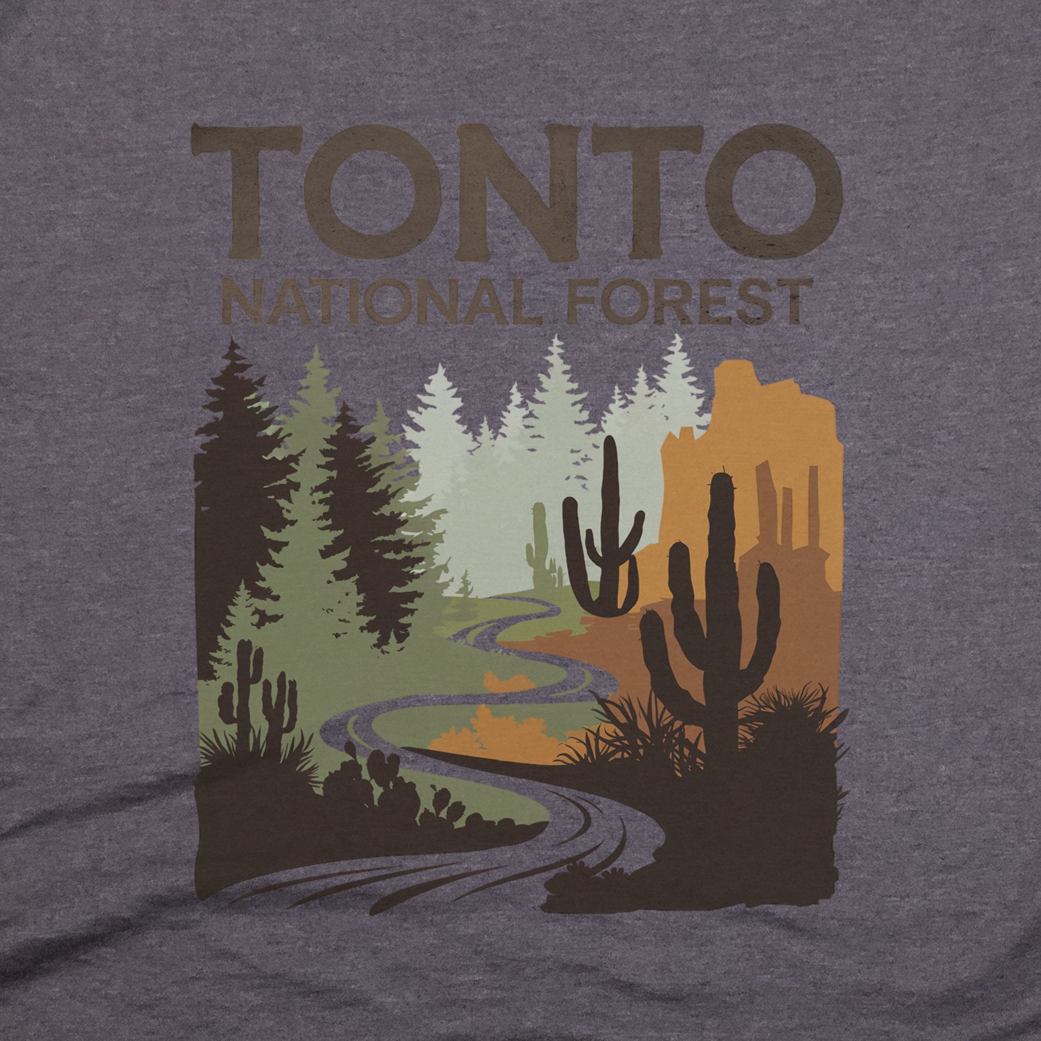 Tonto National Forest T-Shirt