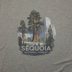 Sequoia National Forest T-Shirt