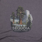 Sequoia National Forest T-Shirt