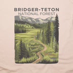 Bridger-Teton National Forest T-Shirt