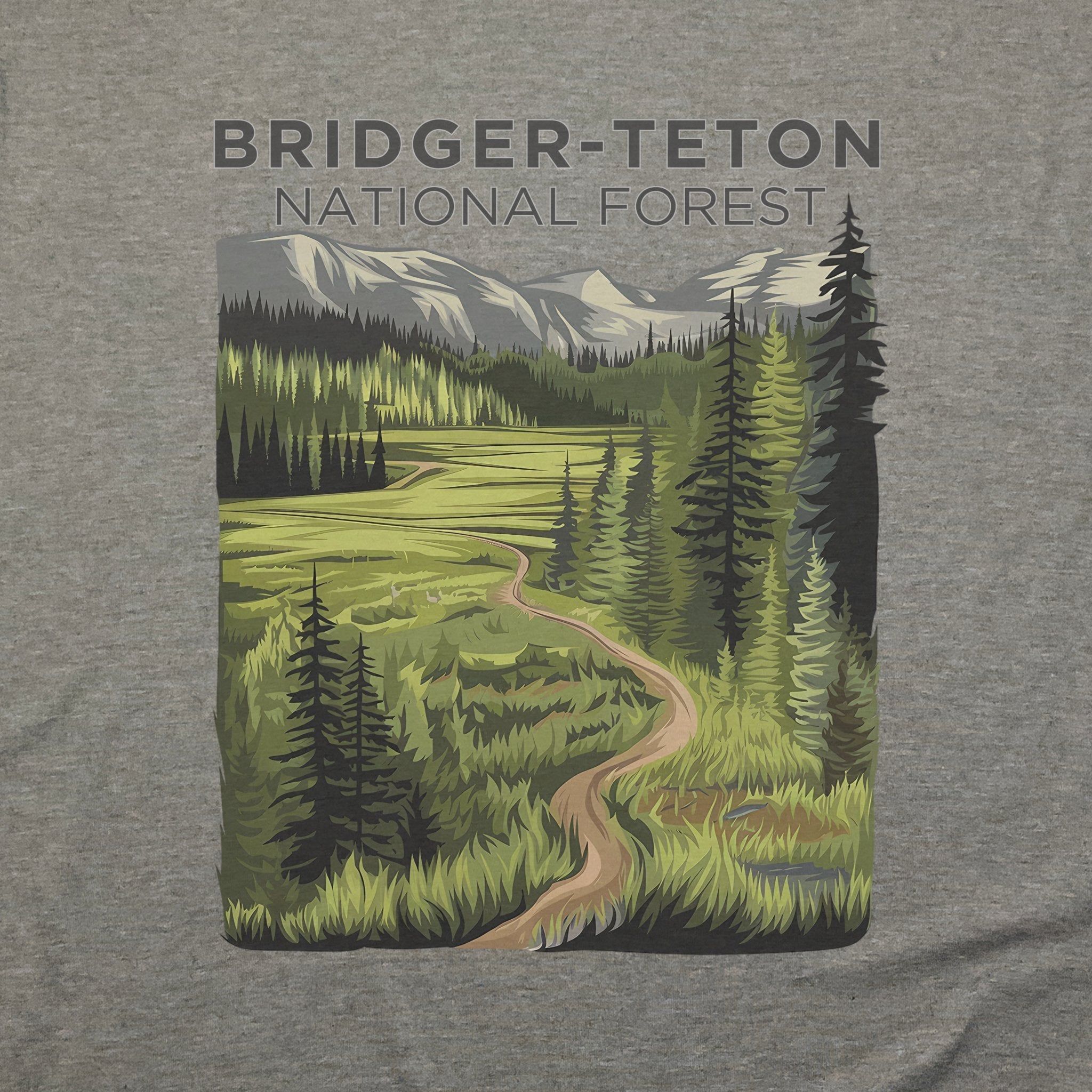 Bridger-Teton National Forest T-Shirt