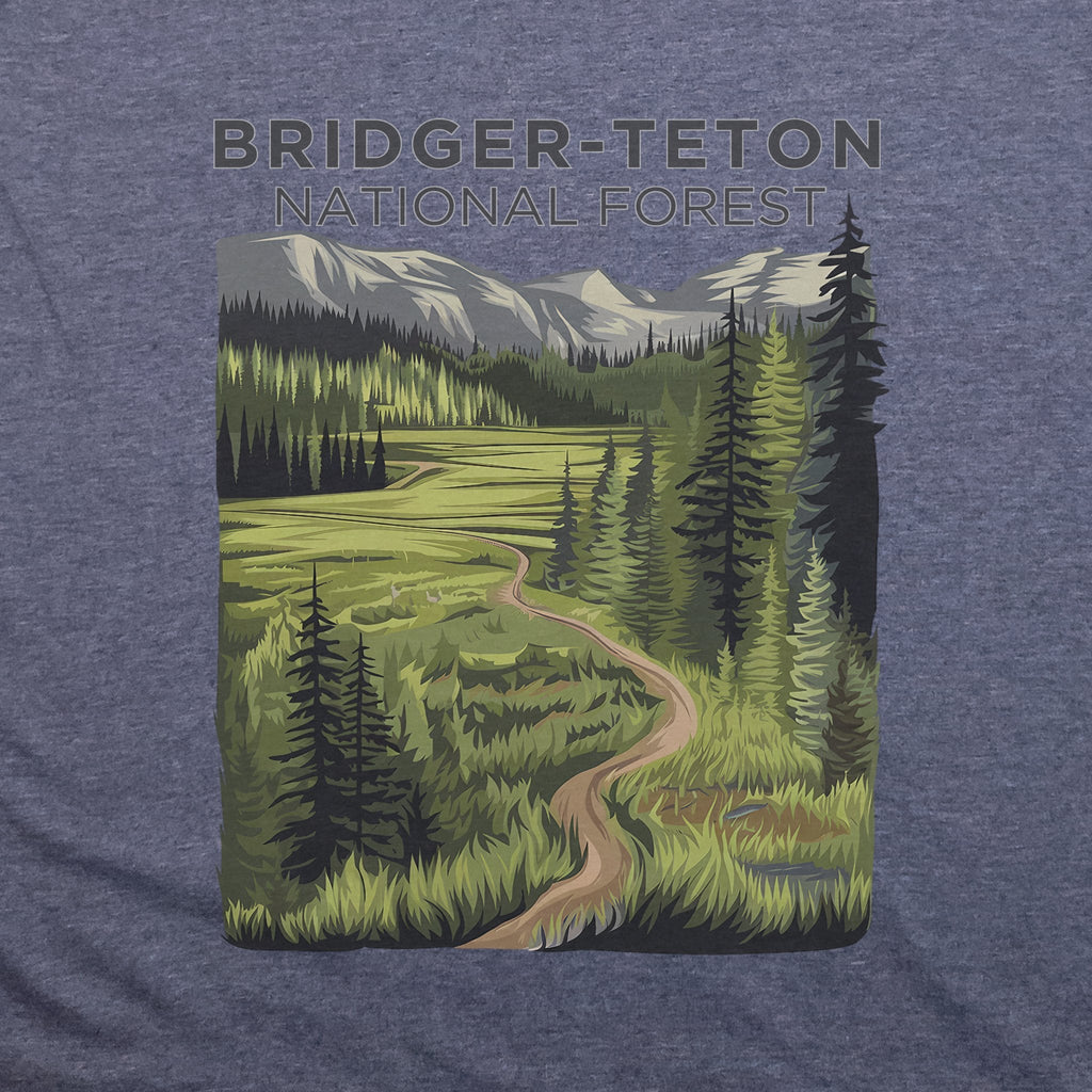 Bridger-Teton National Forest T-Shirt